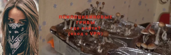 МДПВ Абдулино