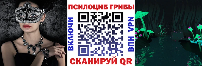 Псилоцибиновые грибы Psilocybe  Полярный 